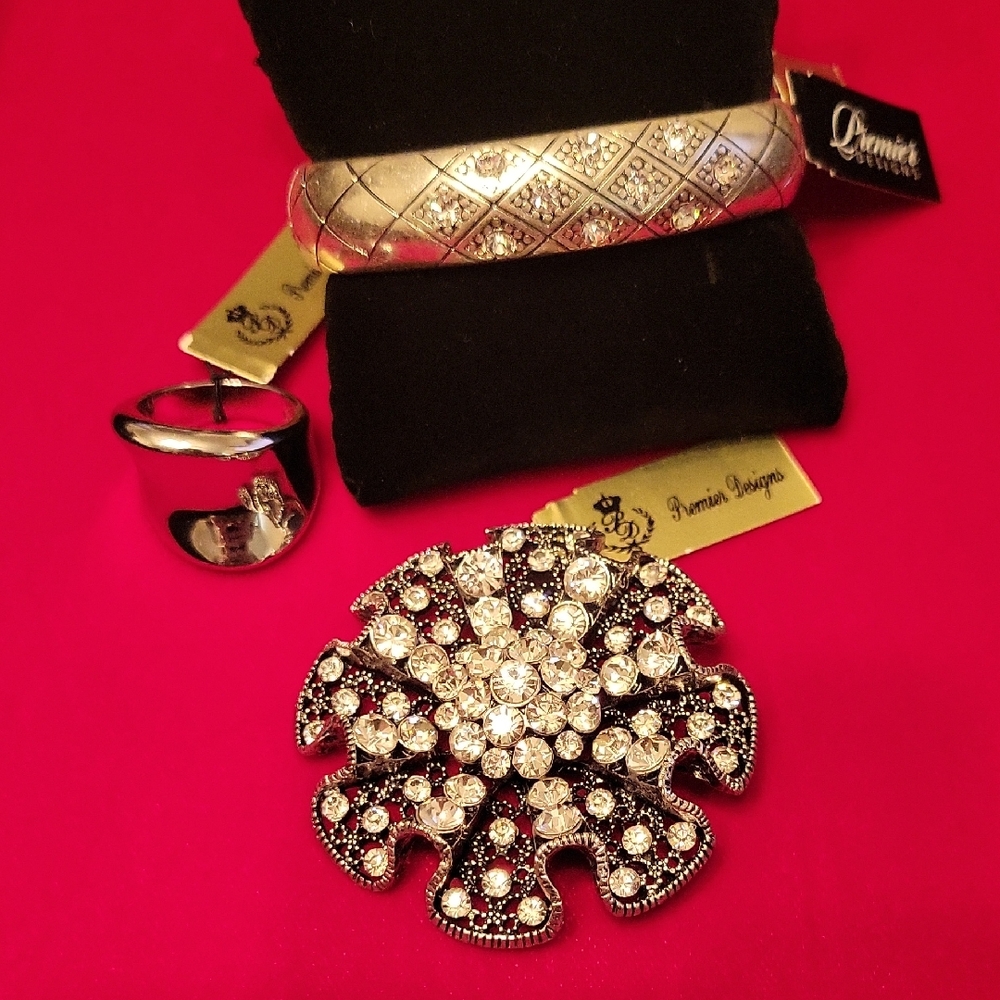 Premier Designs Jewelry Silver Plated & Crystal Jewelry Set